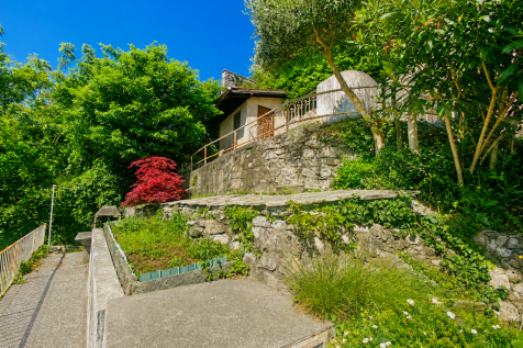terraces