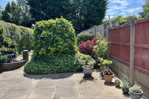 IMG_9005.jpeg