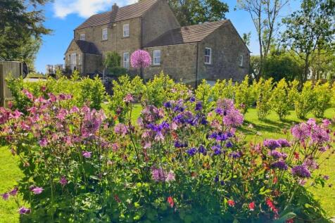 user_edited_photo-5a796001_user-edited-3c8d1ec2-1d