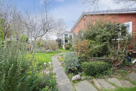 Rear garden.jpg