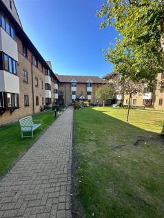 Garden.jpg