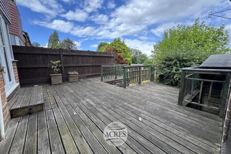 IMG_8088 (Large).jpg