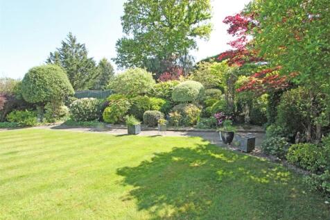 IMG_5098 garden shrubs.jpg