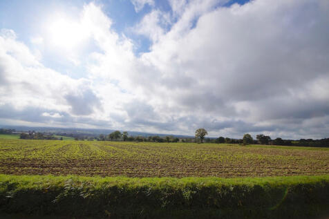 Image 18