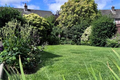 Garden 3.jpg