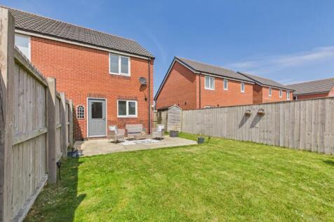Back Garden (2)
