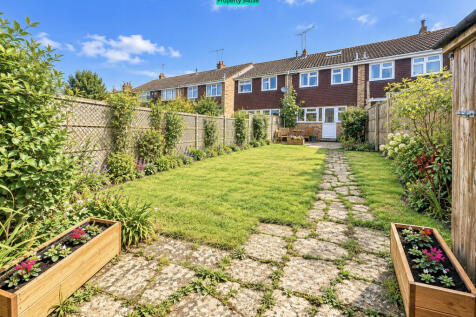 Back garden 