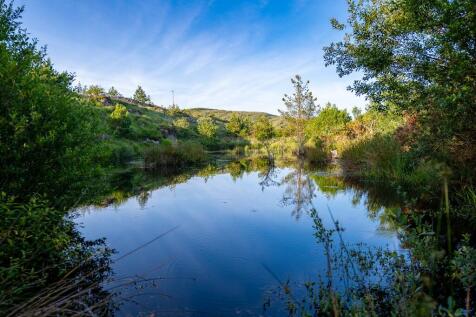 Wildlife pond
