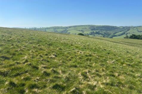 WhatsApp Image 2025-06-12 at 11.30.45 (3).jpeg