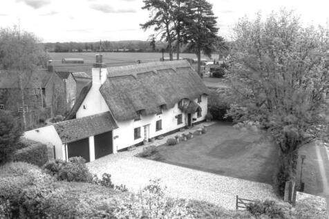 ELEVATED IMAGE &amp; LANDSCAPE BEYOND.jpg