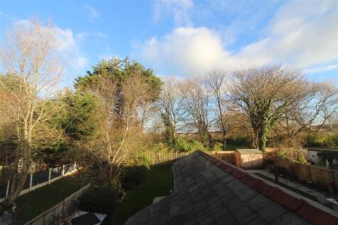 IMG 7358  Medium  T202511251635.jpg