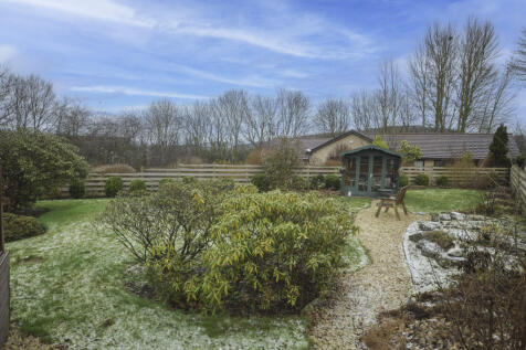 DSC_0247-Edit