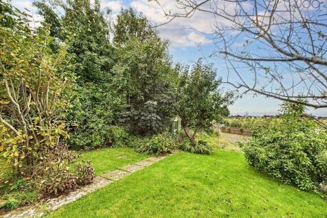 South West facing garden with prize winning pear tree, flags and lawn