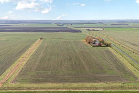 1375354-4-690c6f87d069d-ARW-1