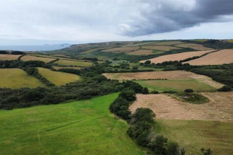 dji_fly_20250716_105636_452_1752659804228_photo_op