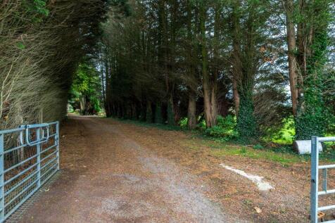 Entrance Driveway