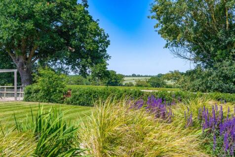 Garden With Far Reaching View