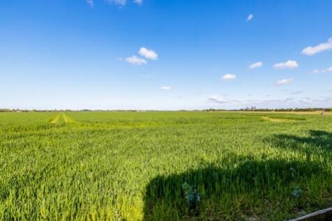 White Cross Farm (Fosdyke)-61