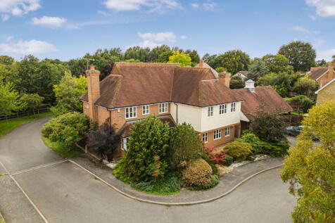 Property Image 40