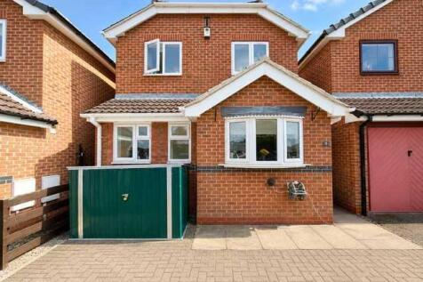 Main Picture