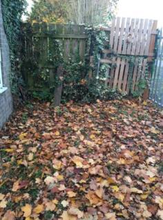 Garden Outside Space