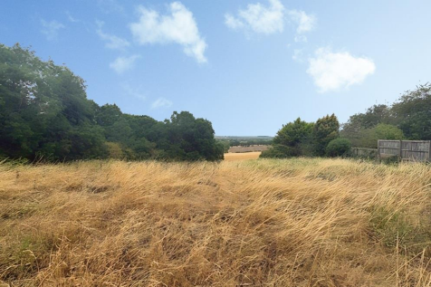 Land