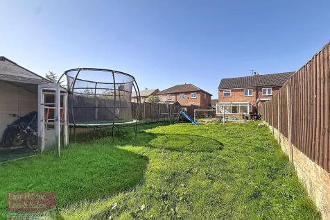 Back Garden