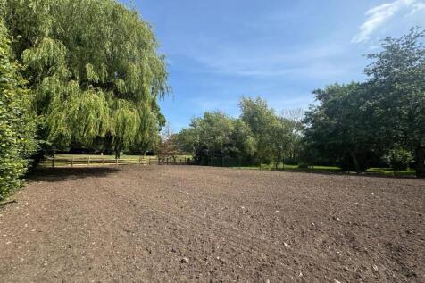 Garden 2.jpg