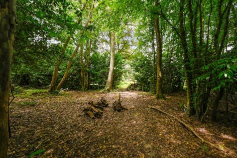 Woodland