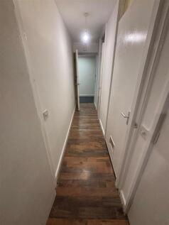 IMG_3232.jpeg