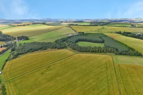 Land at Upper Gariochsford-006.JPG