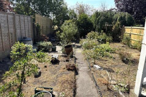 garden.jpeg