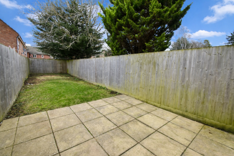 ChatGPT Image Feb 19, 2026, 10_40_54 AM