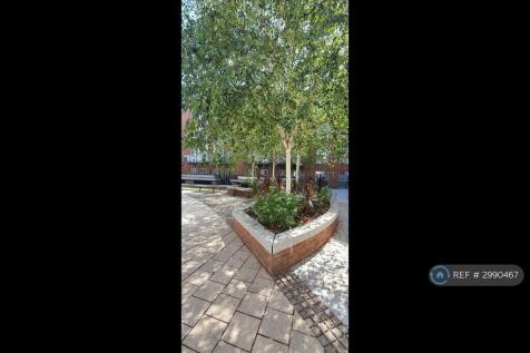 Shared Ecured Garden