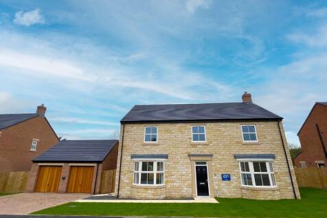 Rose Plot 7 External