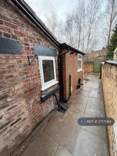 Rear Yard (Alternate Angle)