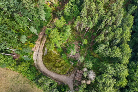 Woods Nr. Stoodleigh