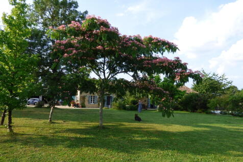 Property Image 31