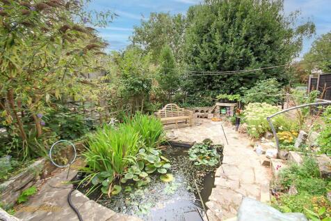 Garden Pond area