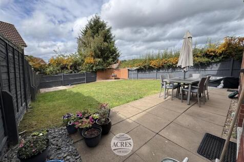 IMG_1306 (Large).jpg