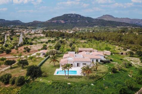 Overhead view of pro