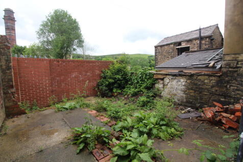 Rear Yard T202606041652.jpg