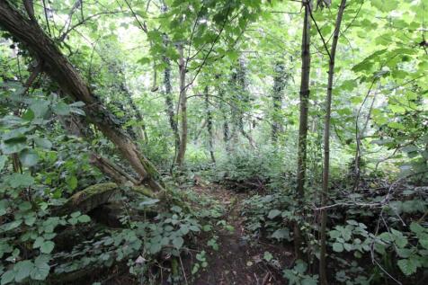 20 T202506111445.jpg