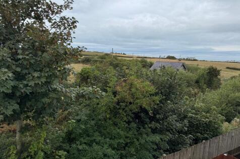 Views from Rear of Property