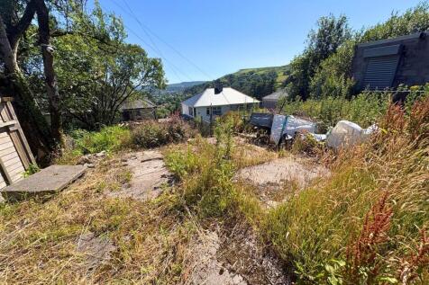 Rear Garden g (edit).jpg