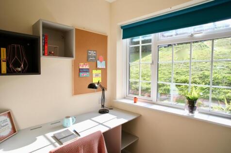 A bright and inviting study area with ample nat...