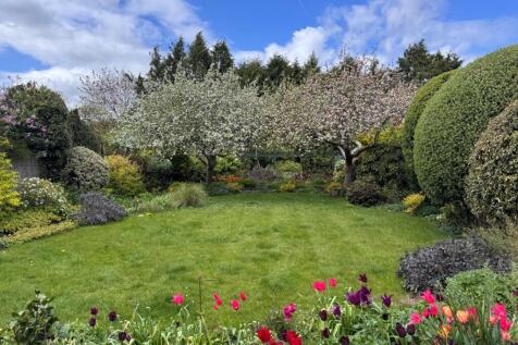 Rear Gardens