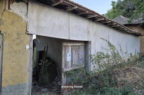 Side view of the house showing an open wooden door, plastered walls, and surrounding overgrown vegetation.