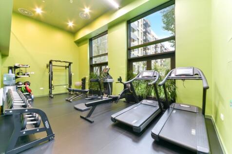 Gym Elephant Park Lo