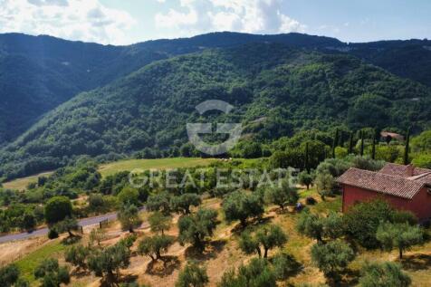 Panorama e Particolari